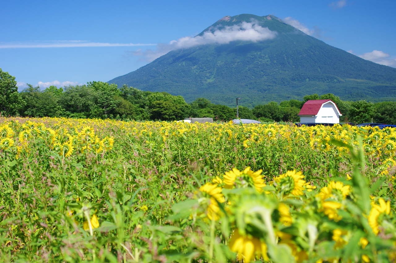 ニセコ・羊蹄山の湧き水4選とドライブのおすすめスポット 北海道ゆるドライブ
